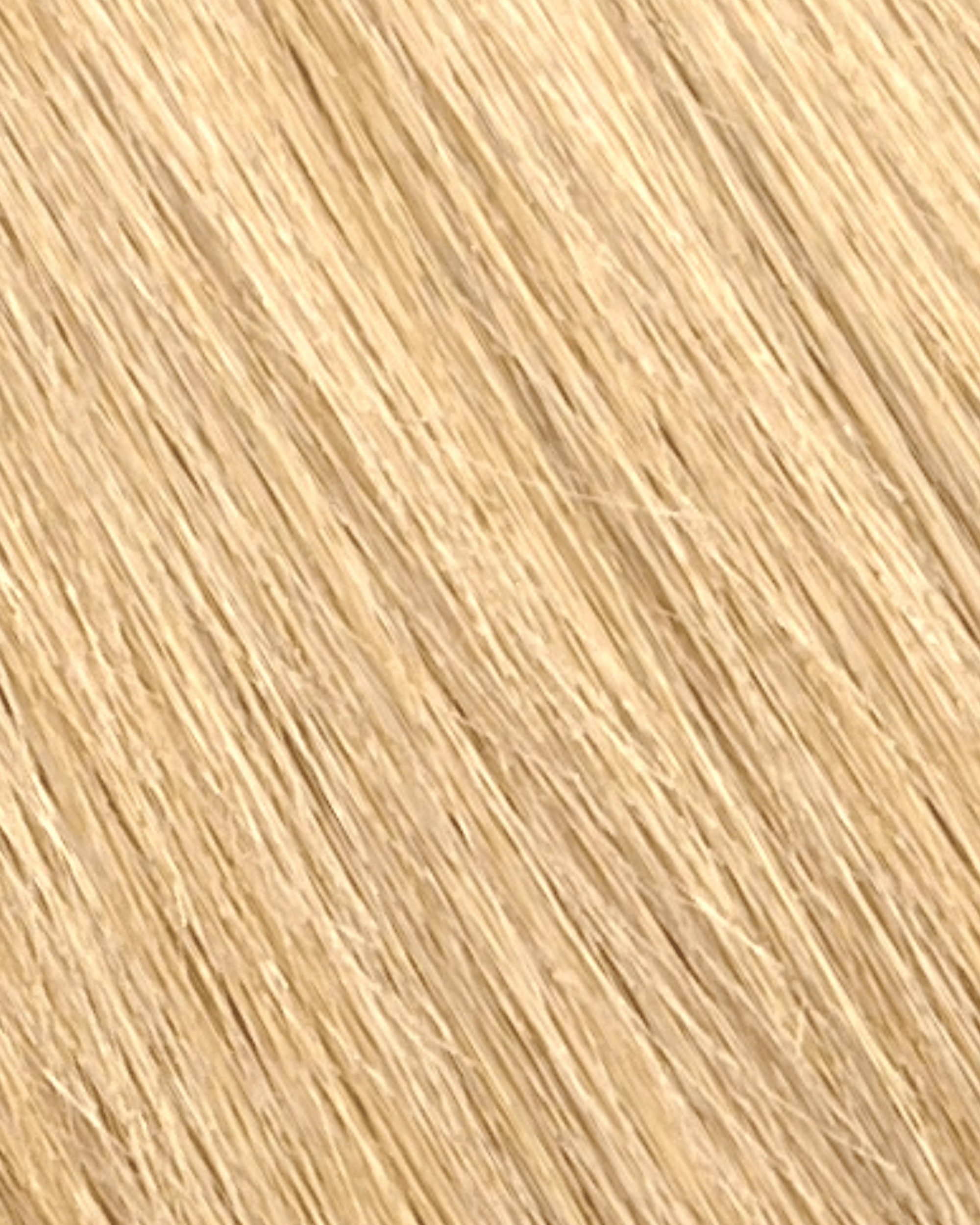 ponytail 